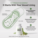 Amla Superfruit Capsules - 3 Unit